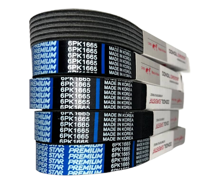 تسمه دینام پشت سوسماری دانگیل اصلی